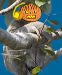 Halloween Sloth